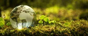 Close up of glass globe in the forest with copy space