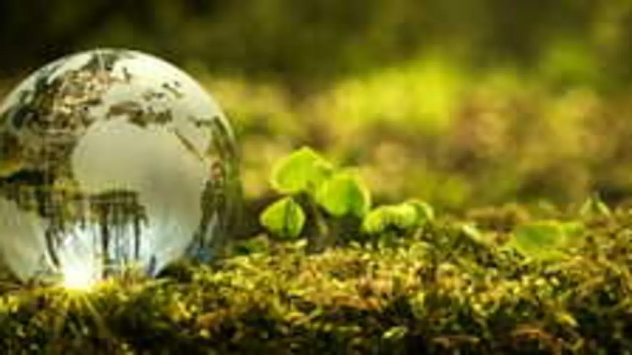 Close up of glass globe in the forest with copy space