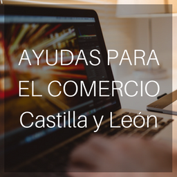Subvenciones para la modernización y mejora de la gestión del comercio en CYL (2018)