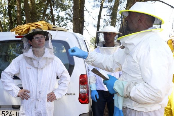 Curso de Cría de Abejas Reina de Urzapa-Adate