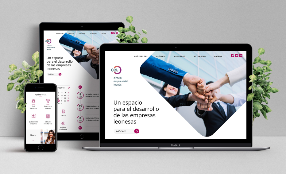 Presentación renovación página web del CEL