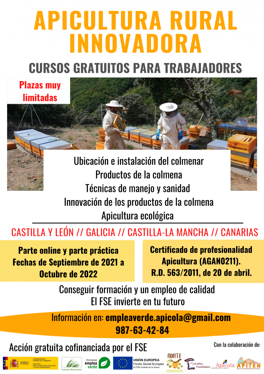 Cursos gratuitos para trabajadores en Apicultura Rural Innovadora