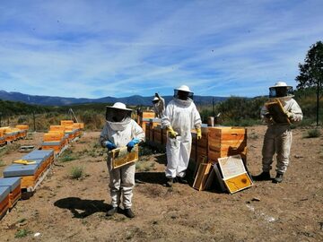 La apicultura leonesa consigue varios «Oscar»