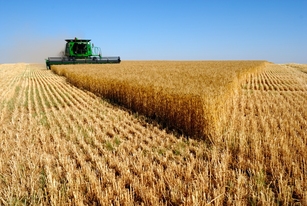Convocadas ayudas para la industria agroalimentaria con una dotación de 70,8 millones de euros