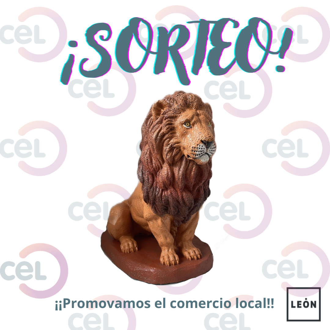 Bases del Concurso de vídeo en Redes Sociales para promocionar el comercio tradicional del municipio de León
